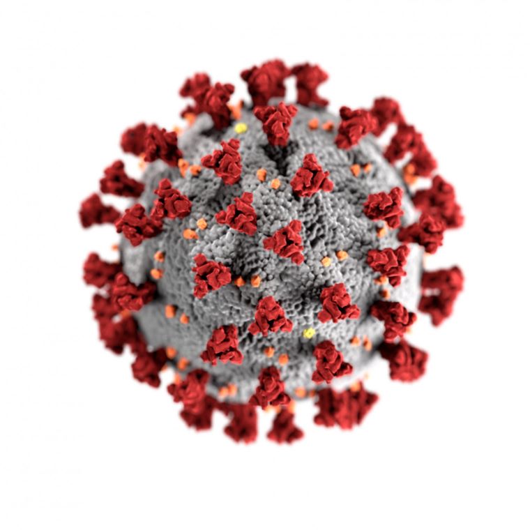 Novel Coronavirus